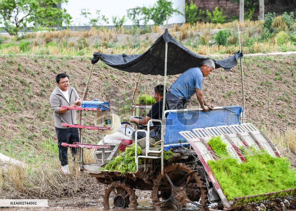 ChineseToday | Young farmer uses modern technology to empower traditional agriculture in SW China