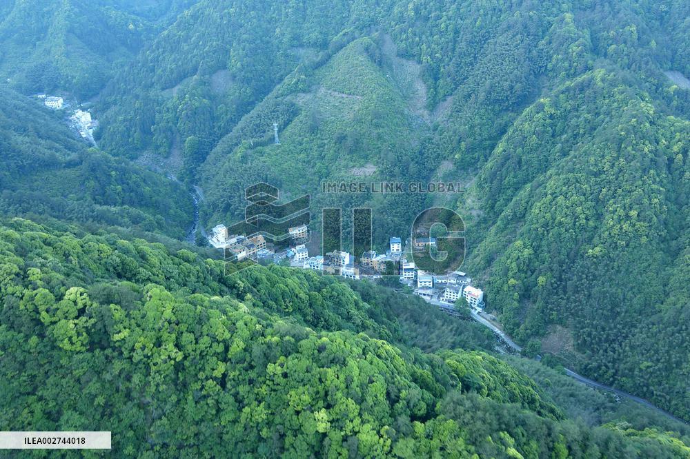 AmazingAnhui | Primate research team of Anhui University protects unique species in Huangshan