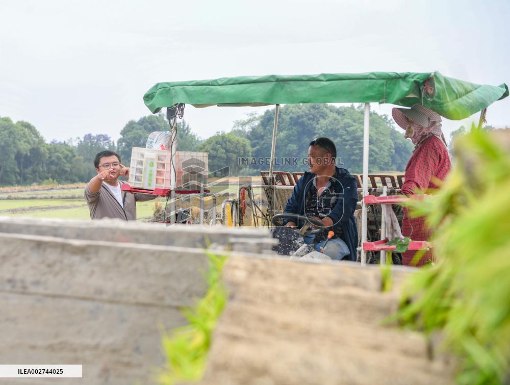 ChineseToday | Young farmer uses modern technology to empower traditional agriculture in SW China