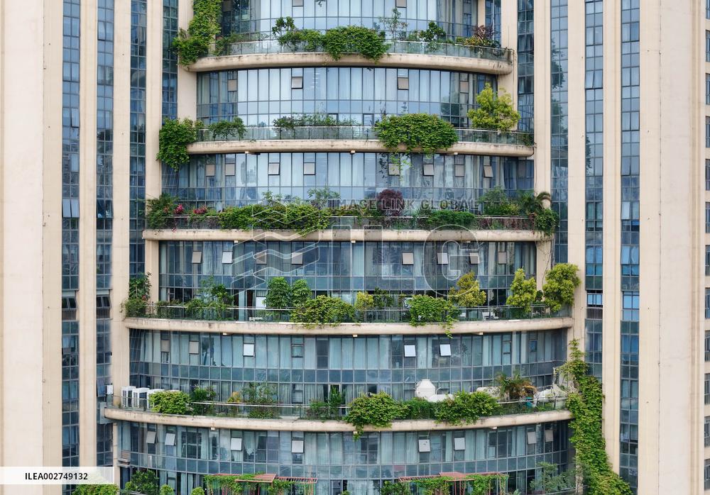 Matcha Cake Building in Nanning