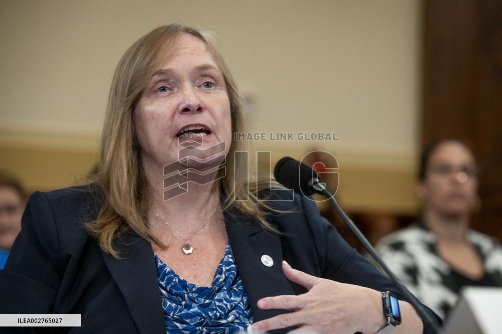 House Committee An Foreign Affairs Hearing - Washington