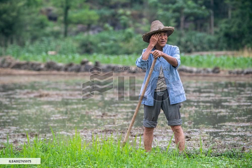 ChineseToday | Art rooted in paddy fields: Yangxi Opera artists in SW China's Chongqing