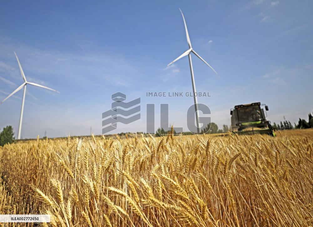 #CHINA-AGRICULTURE-WHEAT-HARVEST (CN)