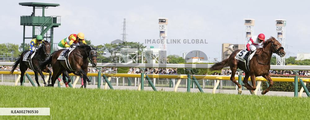 Horse racing: Japanese Derby