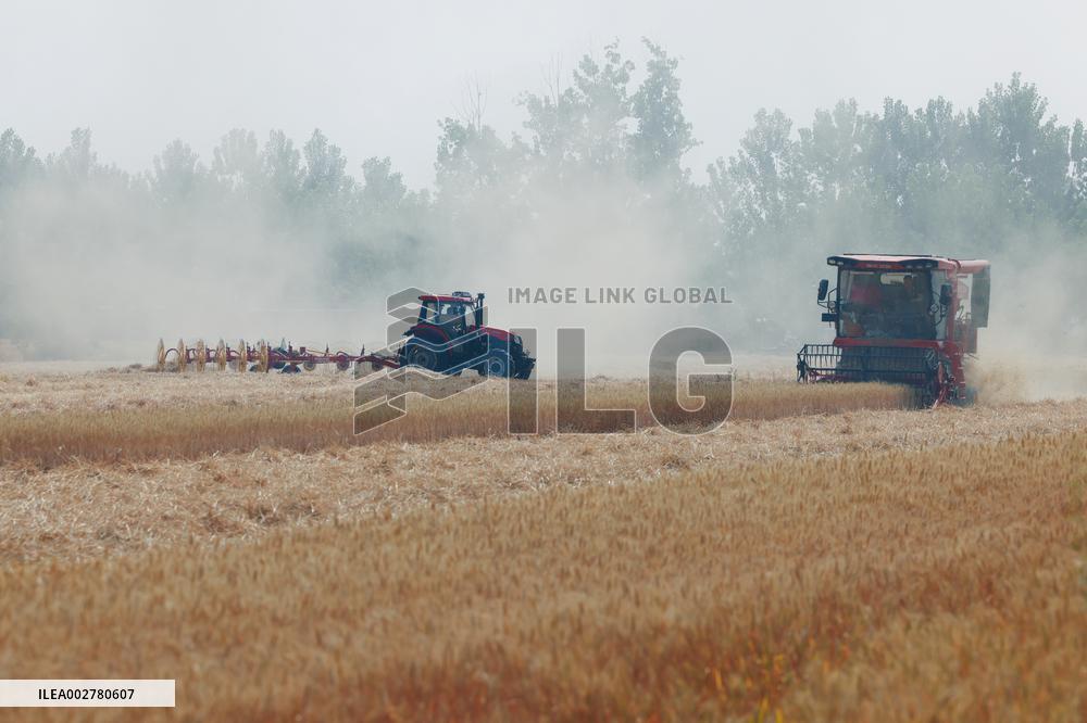 CHINA-HENAN-WHEAT-HARVEST (CN)