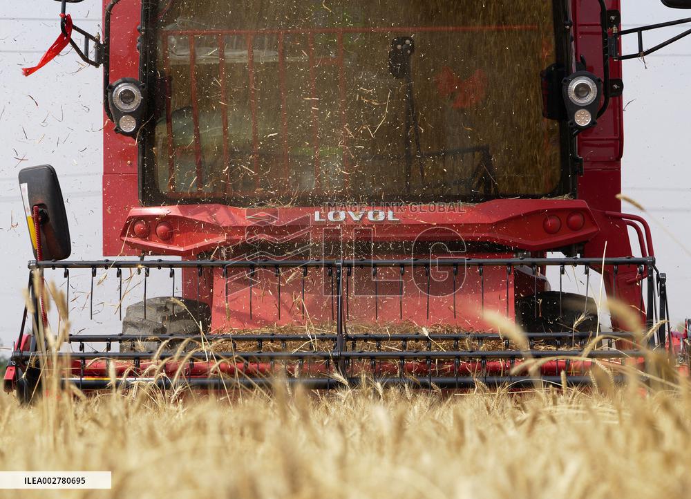 CHINA-HENAN-WHEAT-HARVEST (CN)