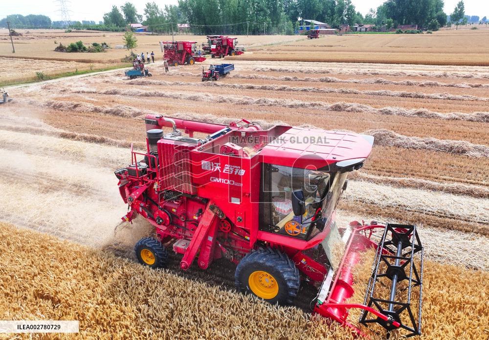 CHINA-HENAN-WHEAT-HARVEST (CN)