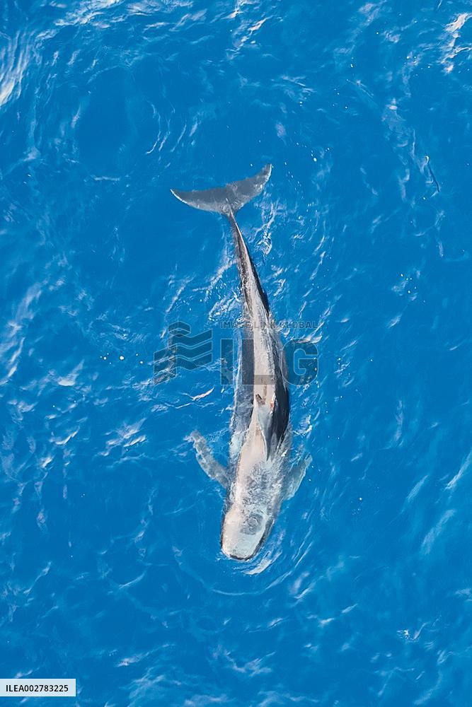 XINHUA PHOTOS OF THE DAY