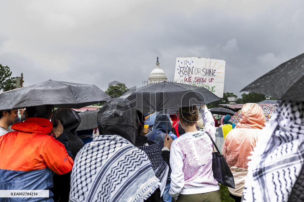 Pro-Palestine Protest - Washington
