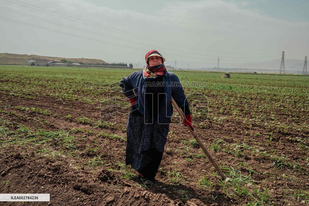 Amik Plain Agriculture Workers - Turkey