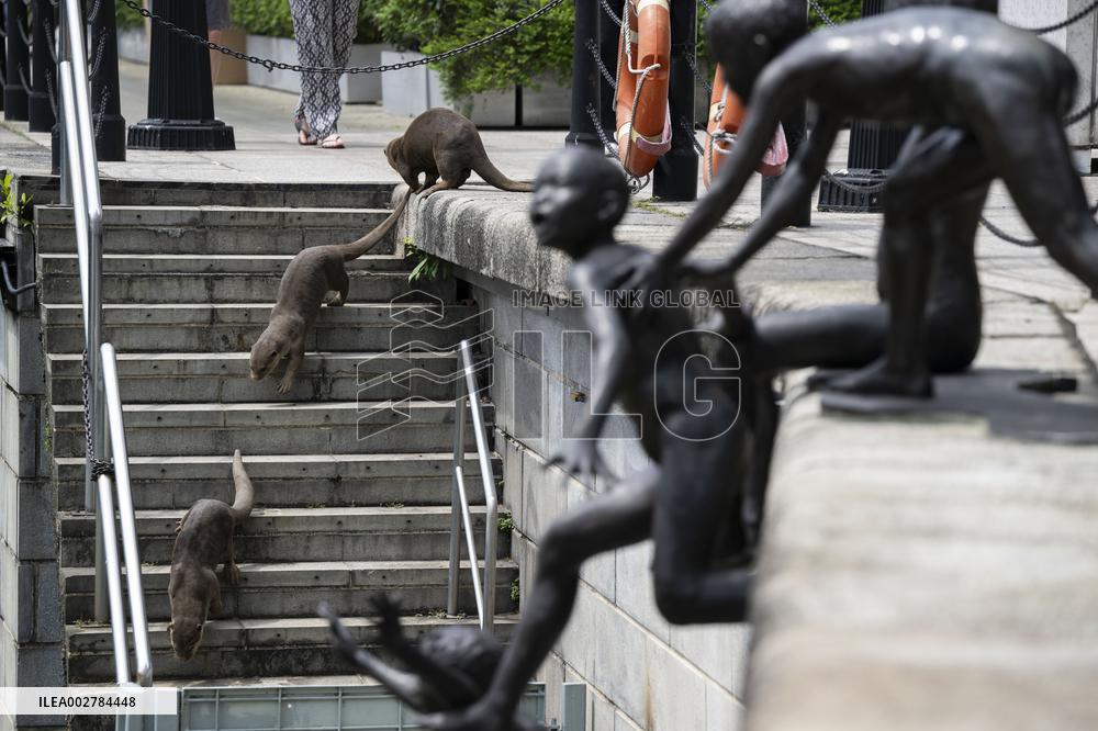 SINGAPORE-WORLD OTTER DAY