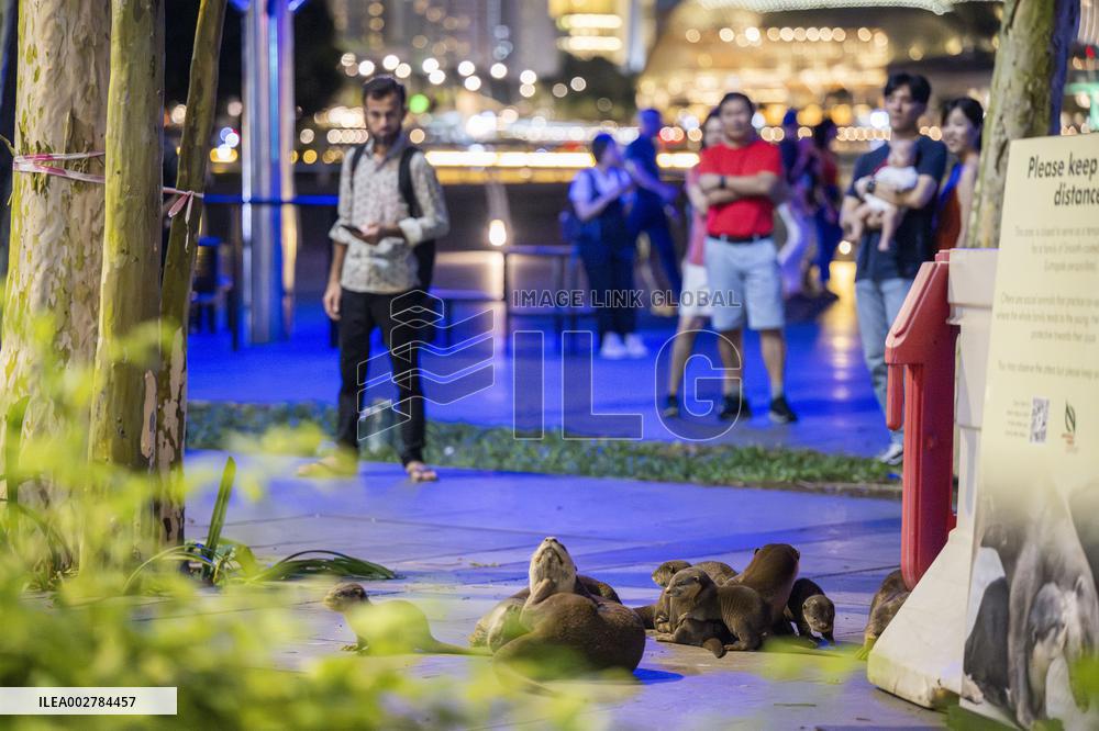 SINGAPORE-WORLD OTTER DAY