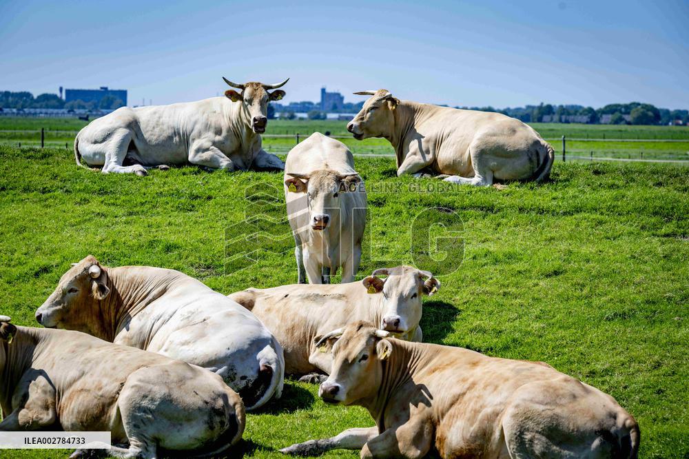 EU Commission Approves Plan Against Nitrogen Pollution - Netherlands