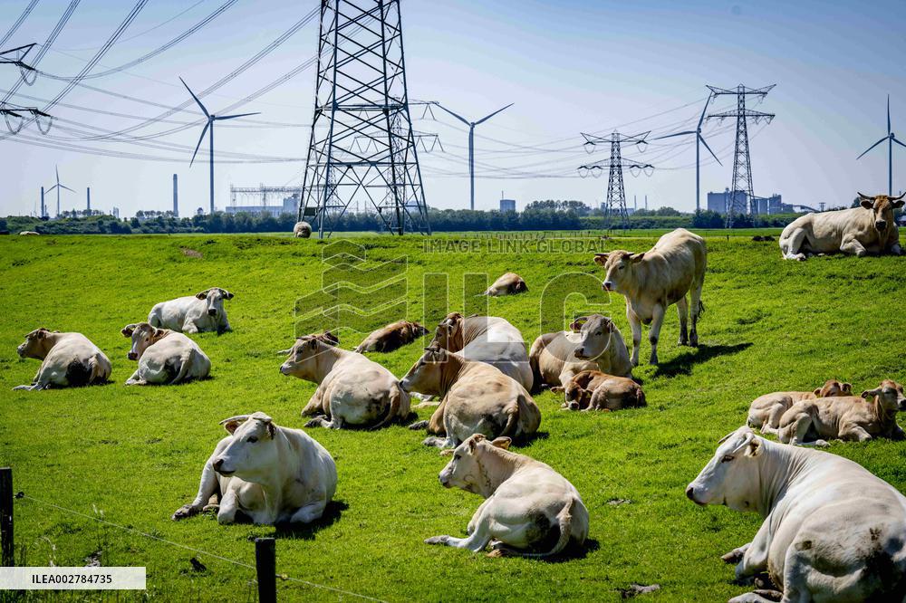 EU Commission Approves Plan Against Nitrogen Pollution - Netherlands