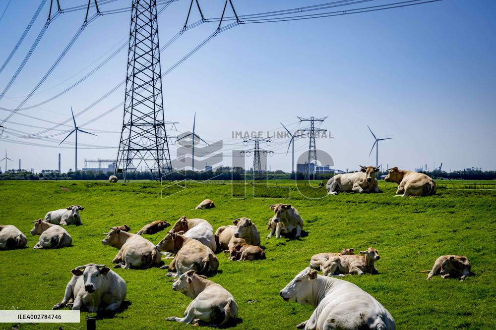 EU Commission Approves Plan Against Nitrogen Pollution - Netherlands