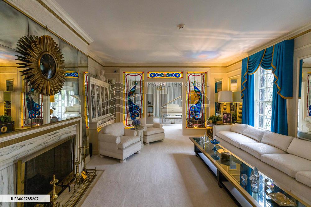 Illustration - Graceland