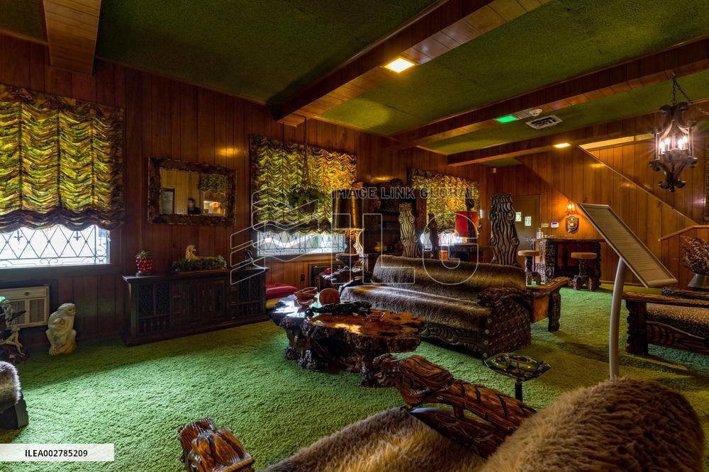 Illustration - Graceland