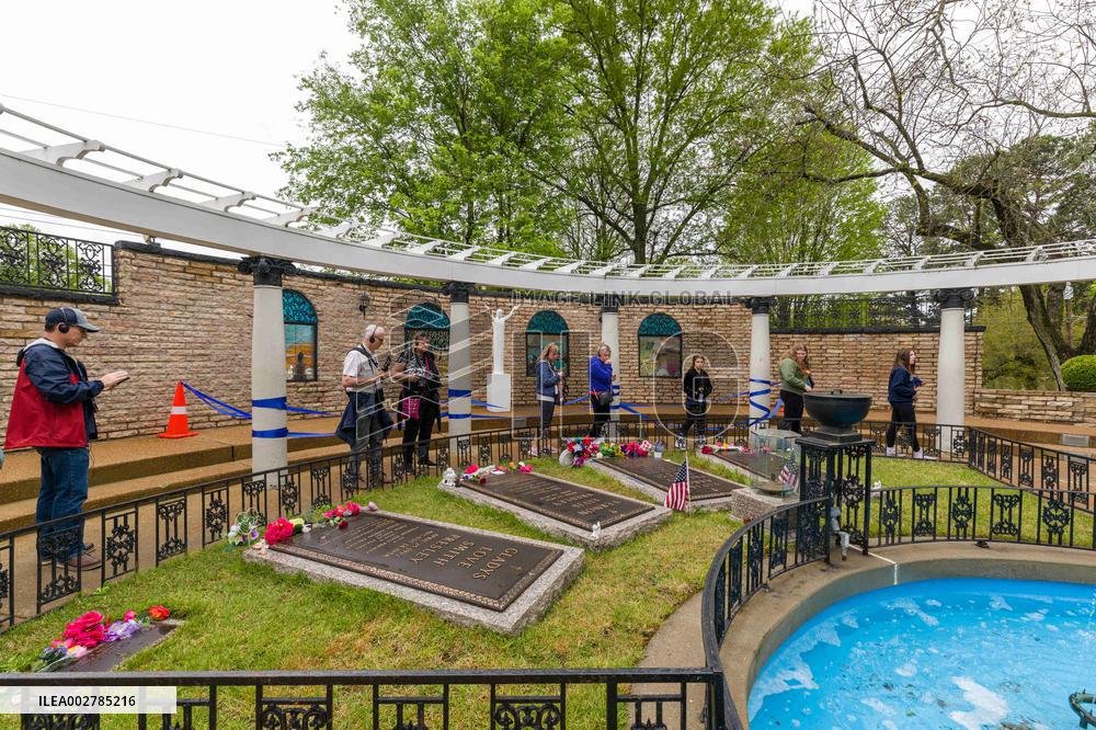 Illustration - Graceland