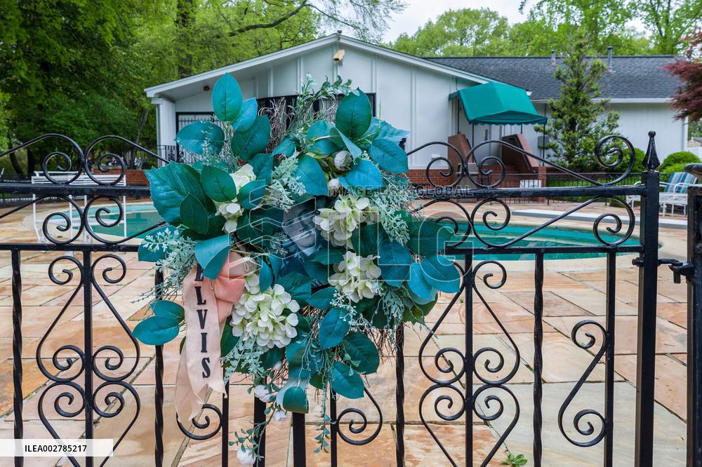 Illustration - Graceland