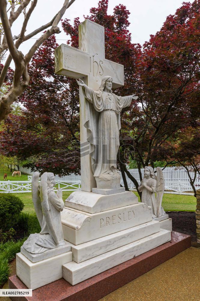 Illustration - Graceland