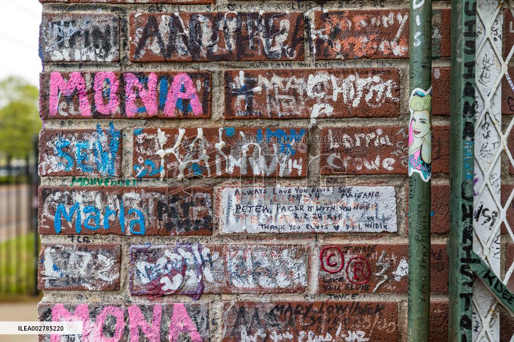 Illustration - Graceland