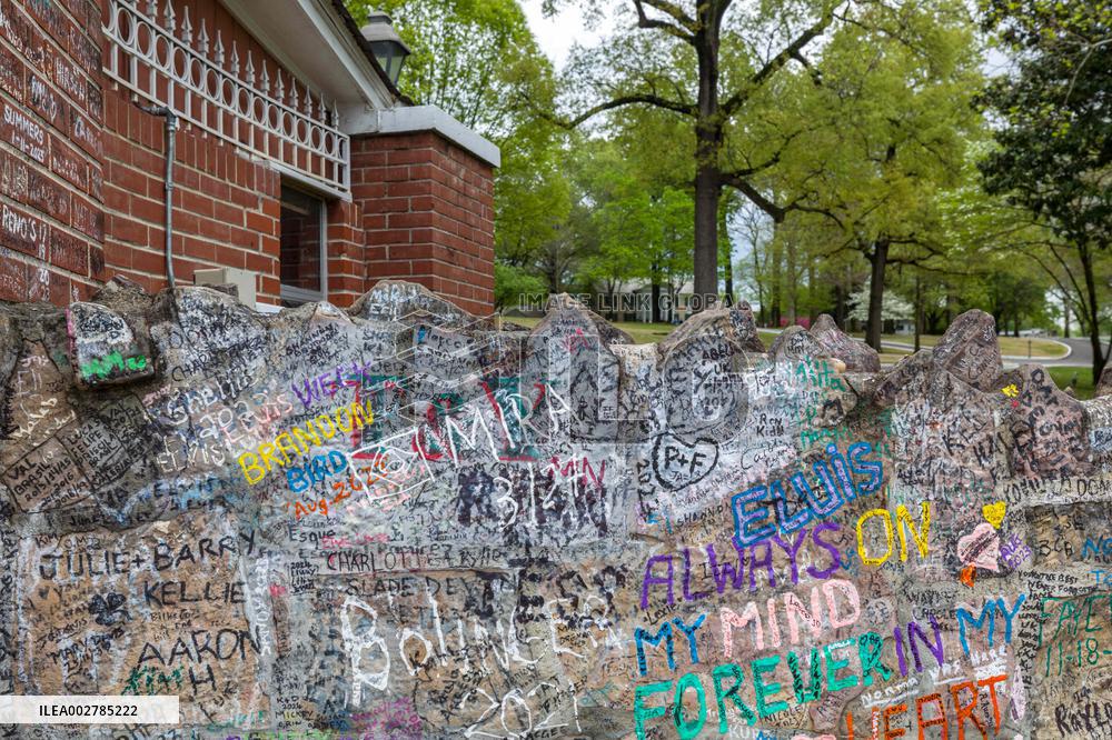 Illustration - Graceland