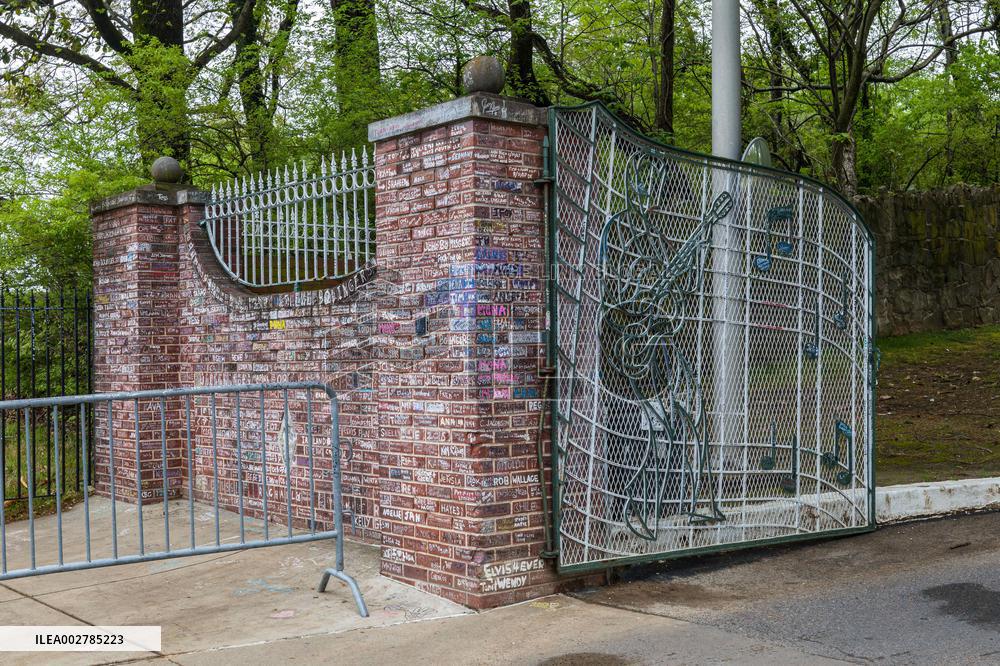 Illustration - Graceland