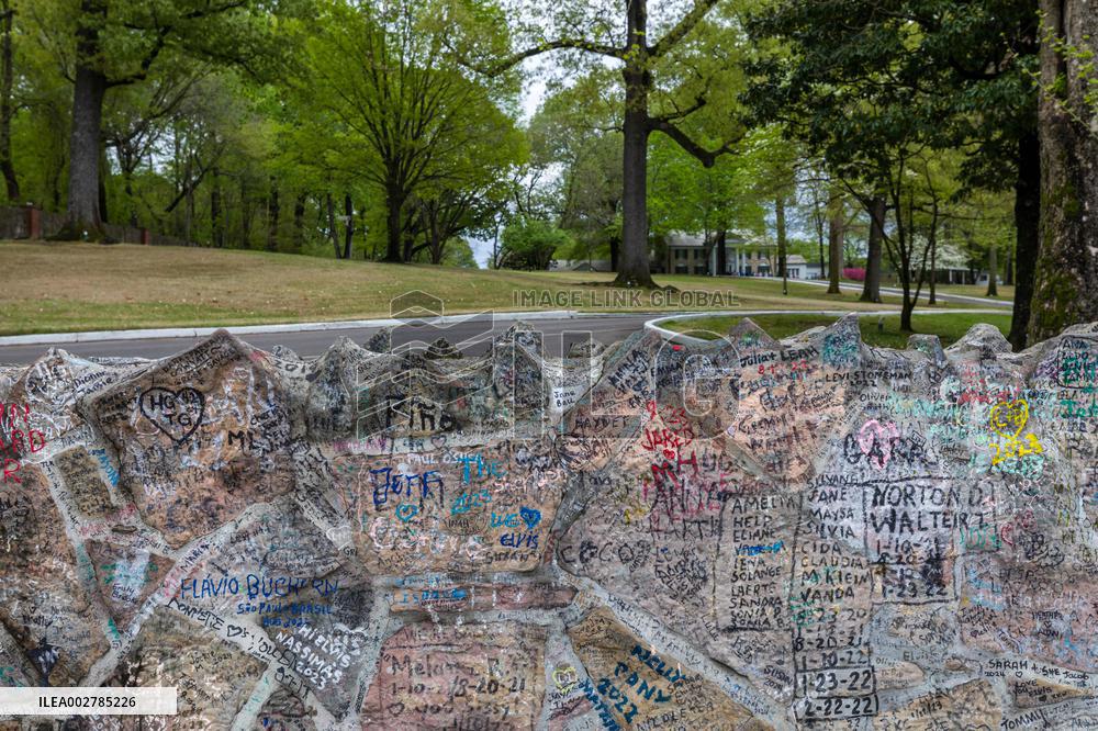 Illustration - Graceland