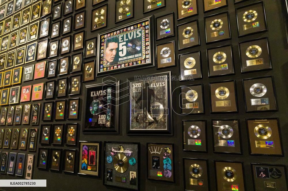 Illustration - Graceland