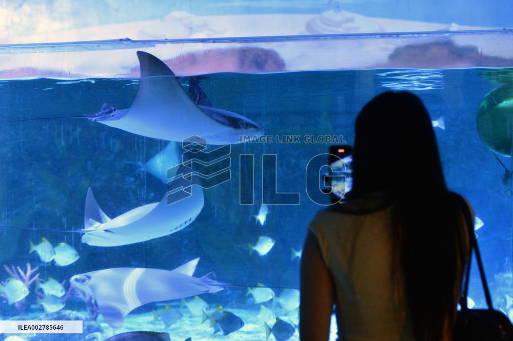THAILAND-BANGKOK-AQUARIUM