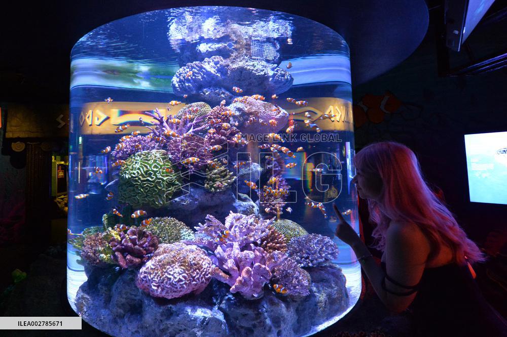 THAILAND-BANGKOK-AQUARIUM