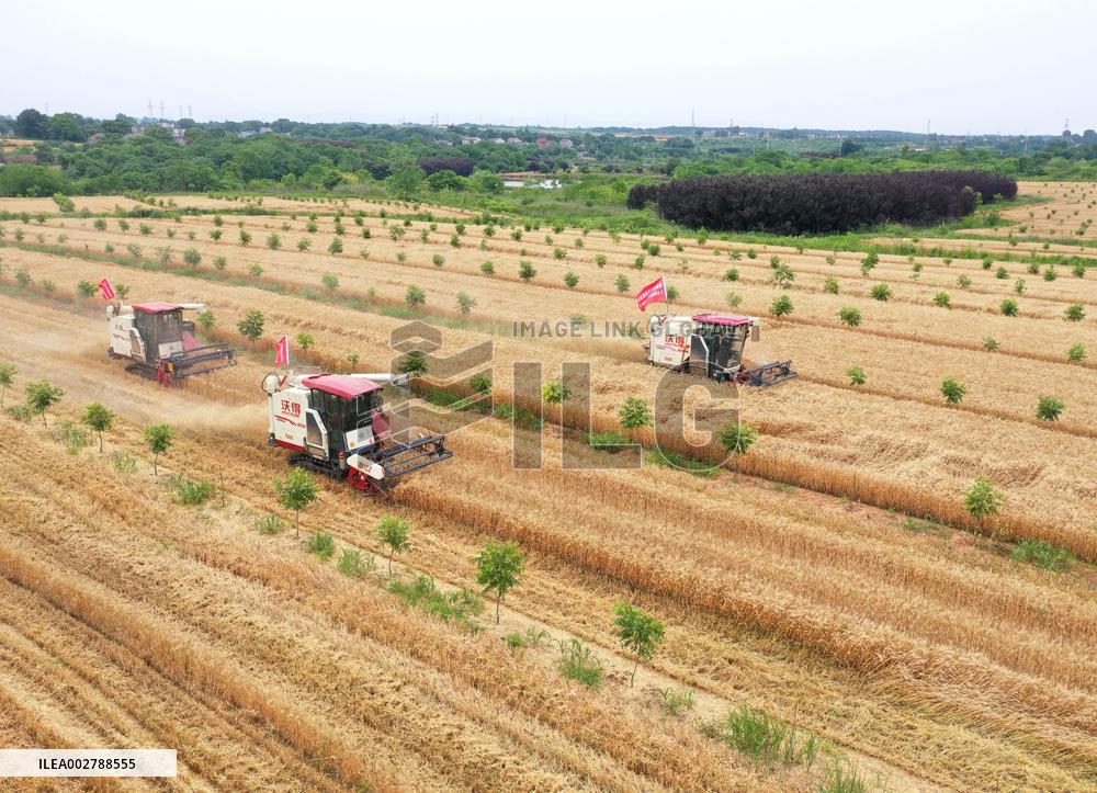 XINHUA PHOTOS OF THE DAY