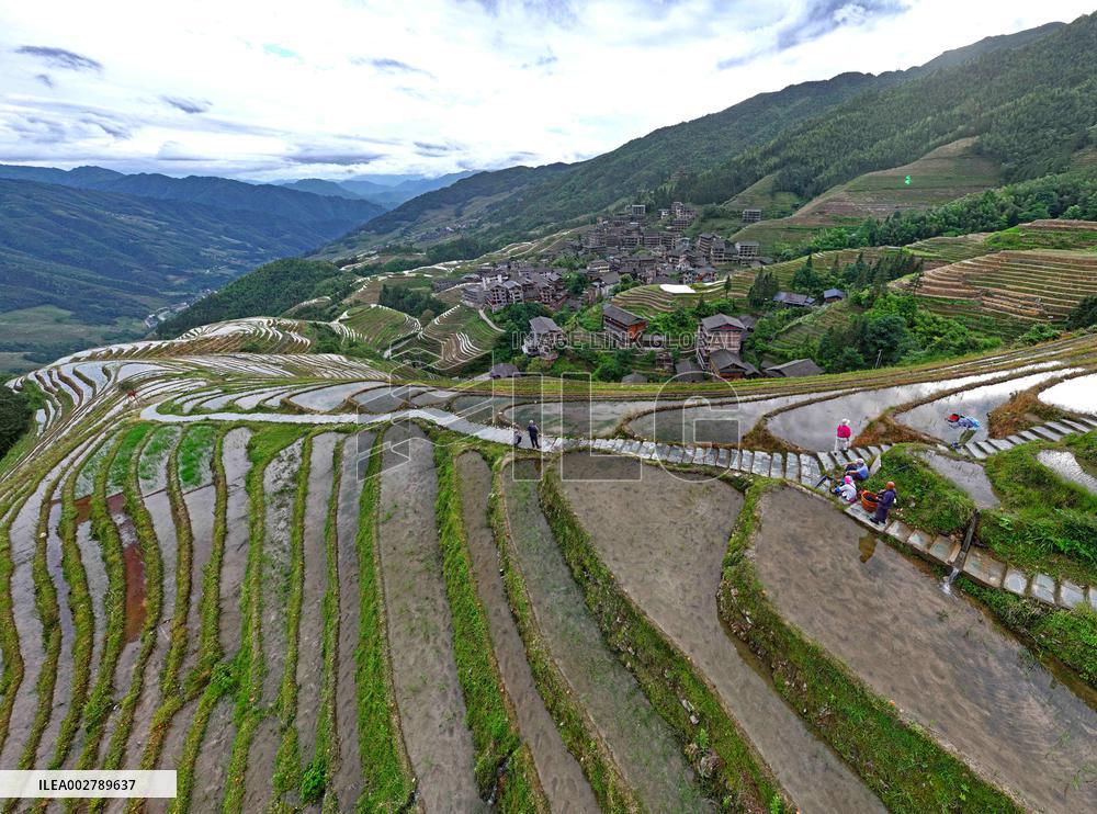 Longji Terraced Field - China