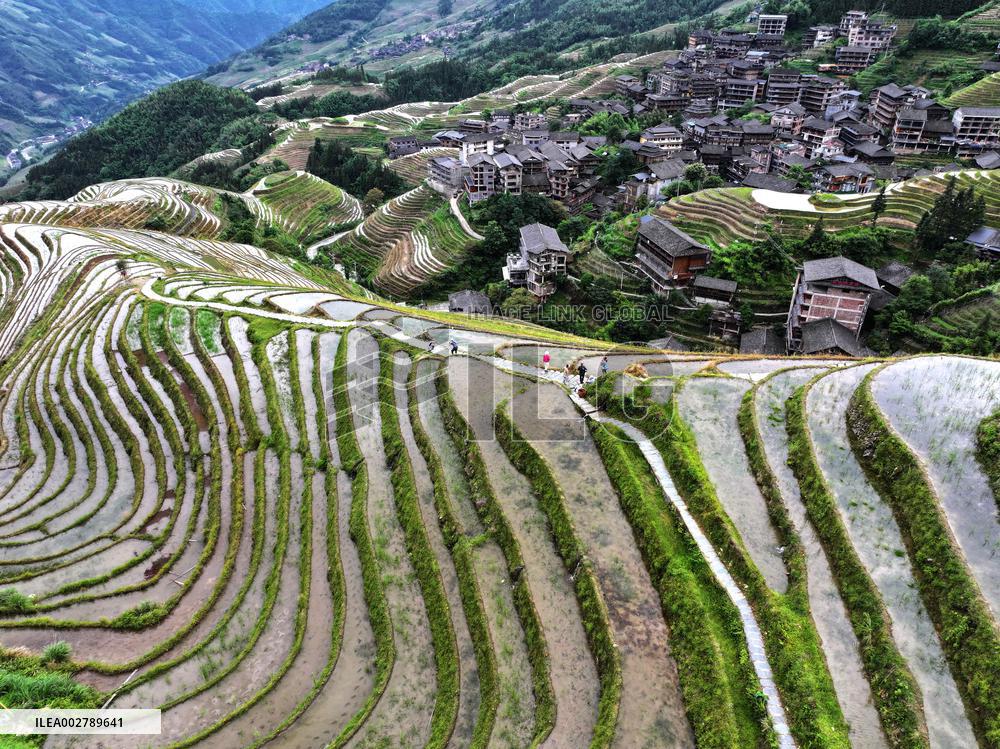 Longji Terraced Field - China