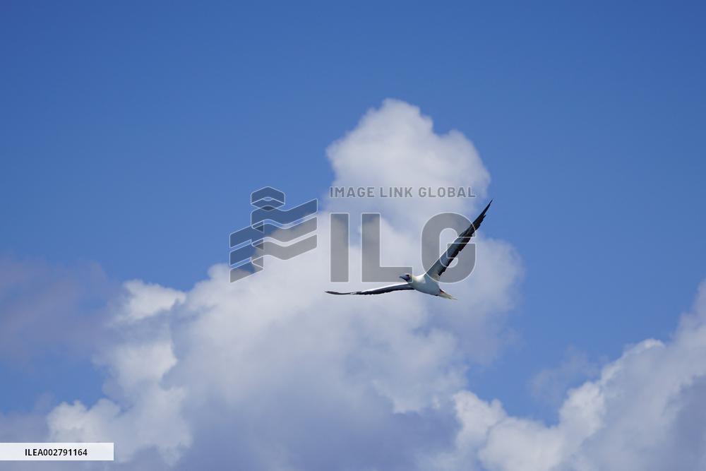 CHINA-SOUTH CHINA SEA-VIEWS (CN)