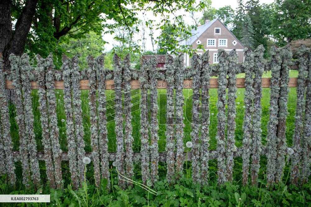 Moss covered wooden fence