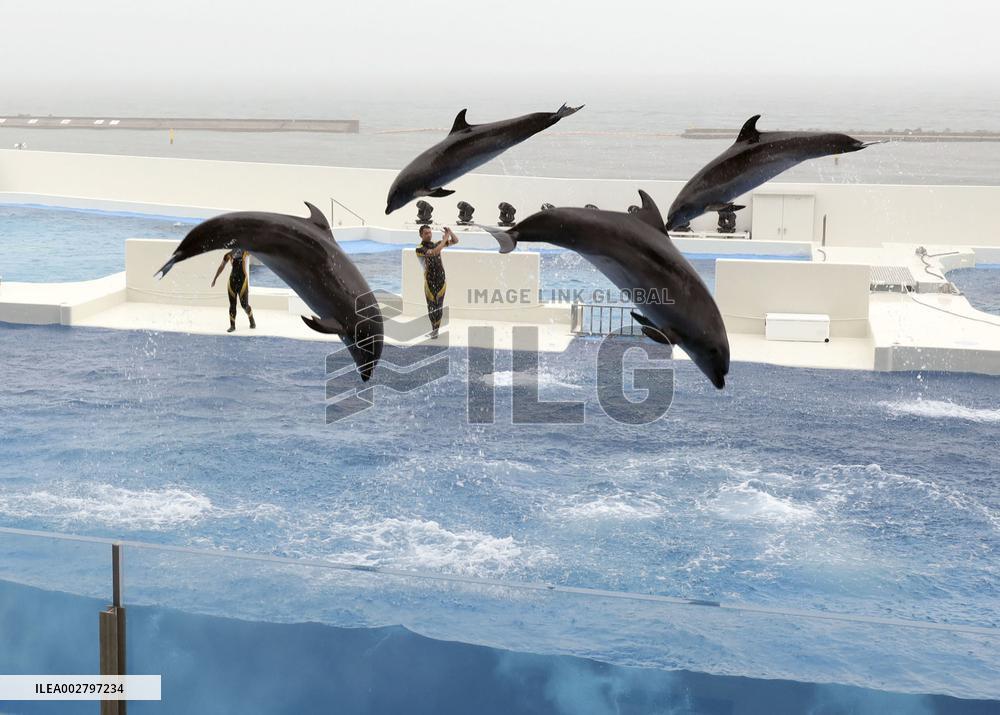 Renovated aquarium in western Japan