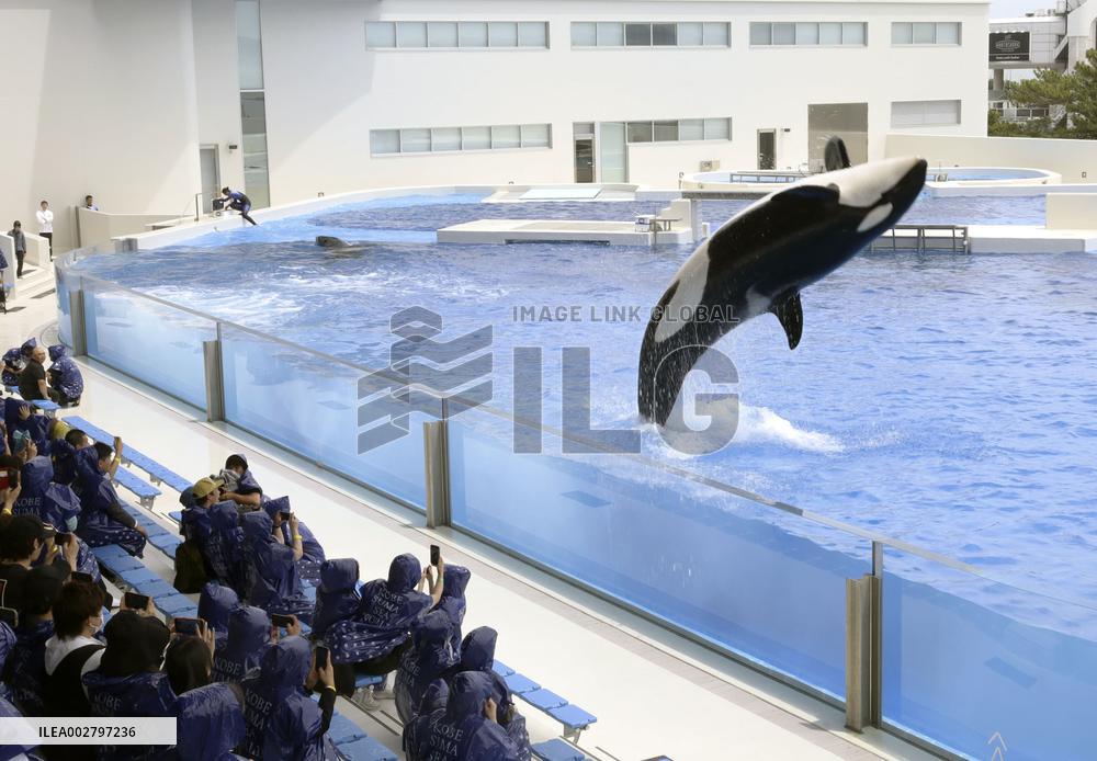 Renovated aquarium in western Japan