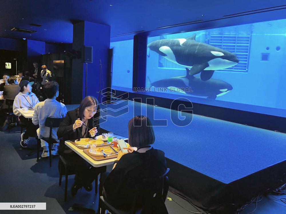Renovated aquarium in western Japan