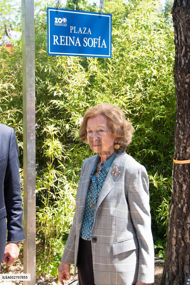 Queen Sofia Attends Presentation Of Two New Pandas At Zoo - Madrid