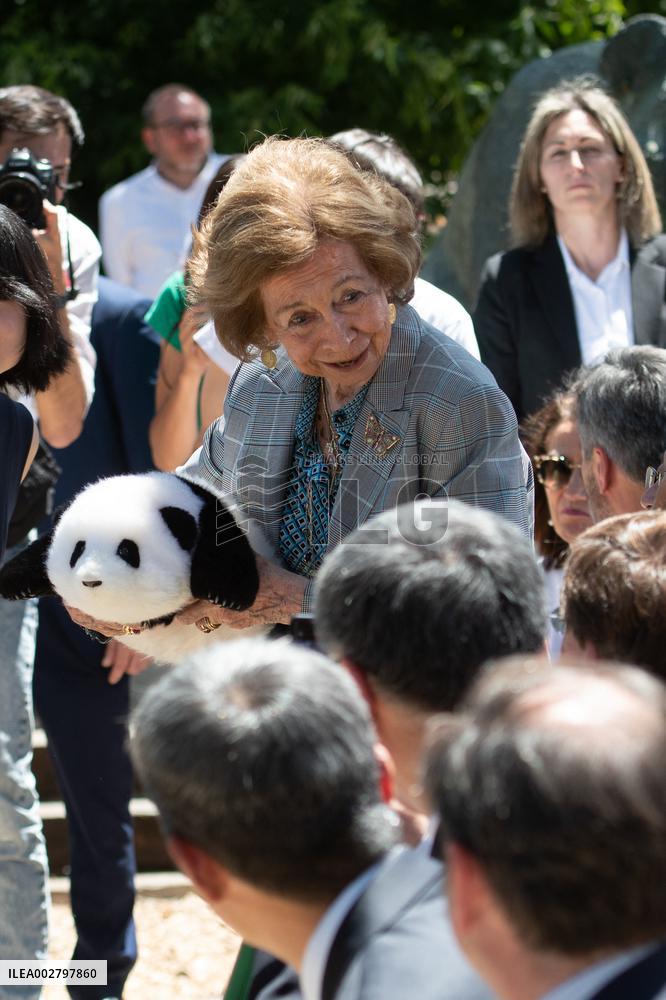 Queen Sofia Attends Presentation Of Two New Pandas At Zoo - Madrid