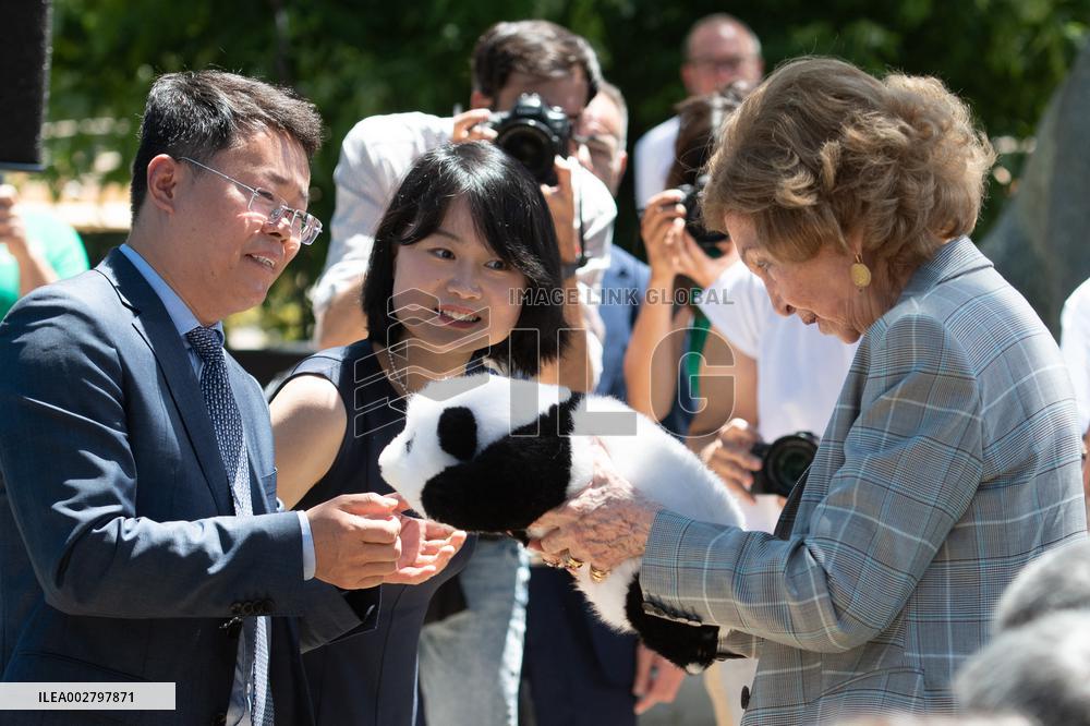 Queen Sofia Attends Presentation Of Two New Pandas At Zoo - Madrid