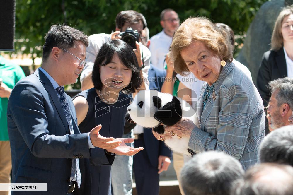Queen Sofia Attends Presentation Of Two New Pandas At Zoo - Madrid
