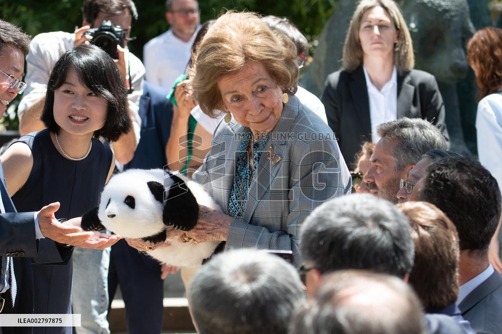 Queen Sofia Attends Presentation Of Two New Pandas At Zoo - Madrid