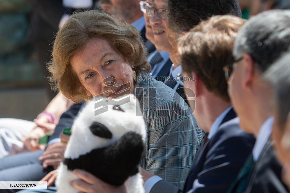 Queen Sofia Attends Presentation Of Two New Pandas At Zoo - Madrid