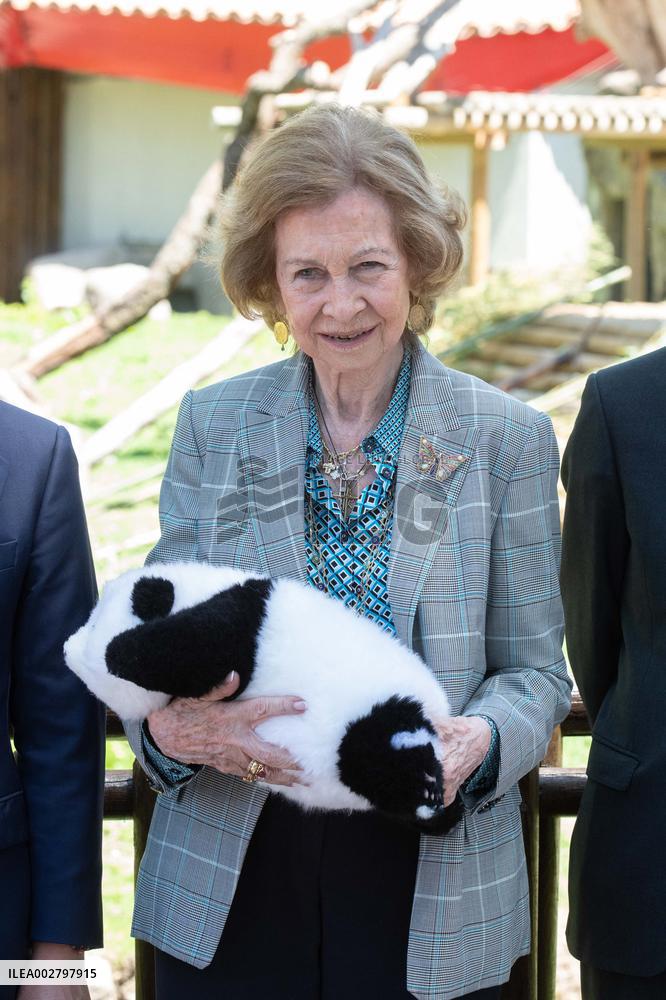 Queen Sofia Attends Presentation Of Two New Pandas At Zoo - Madrid