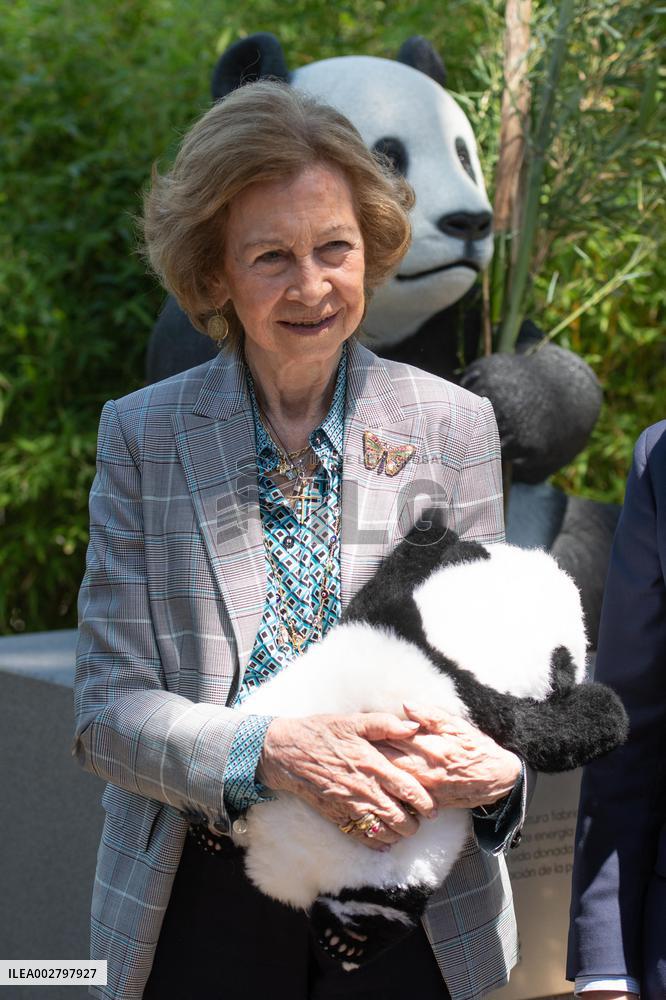 Queen Sofia Attends Presentation Of Two New Pandas At Zoo - Madrid
