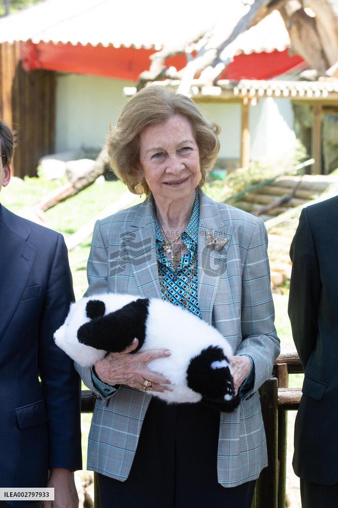 Queen Sofia Attends Presentation Of Two New Pandas At Zoo - Madrid