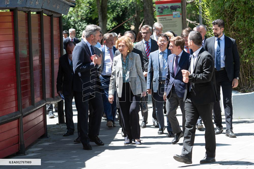 Queen Sofia Attends Presentation Of Two New Pandas At Zoo - Madrid