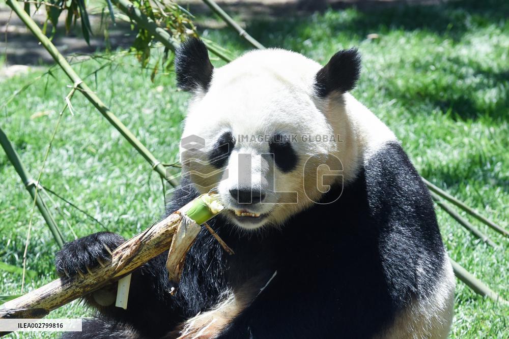 XINHUA PHOTOS OF THE DAY